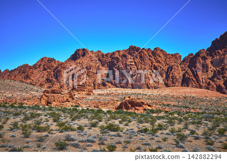 Red Sandstone Cliffs Desert Vegetation and Blue Sky in Valley of Fire Nevada Red Sandstone Cliffs Desert Vegetation and Blue Sky in Valley of Fire Nevada 142882294
