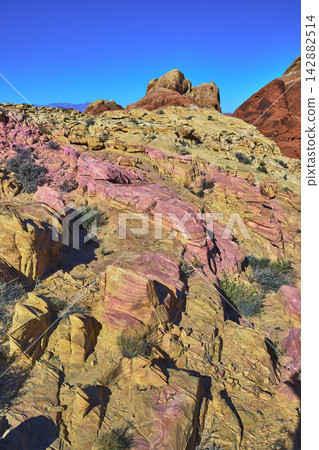 Colorful Sandstone Formations and Desert Landscape Valley of Fire Nevada Colorful Sandstone Formations and Desert Landscape Valley of Fire Nevada 142882514