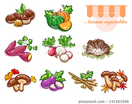 A set of illustrations of various autumn vegetables | Cute pop art vector materials 142883086