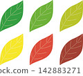 Seasonal leaf illustration set (icons for young leaves, autumn leaves, yellow leaves, and withered leaves) 142883271