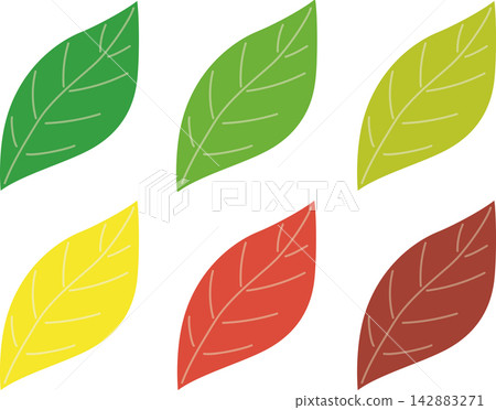 Seasonal leaf illustration set (icons for young leaves, autumn leaves, yellow leaves, and withered leaves) Seasonal leaf illustration set (icons for young leaves, autumn leaves, yellow leaves, and withered leaves) 142883271