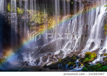 [Waterfall Material] Autumn Leaves and Shiraito Falls with Rainbow [Shizuoka Prefecture] 142883467