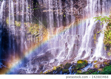 [Waterfall Material] Autumn Leaves and Shiraito Falls with Rainbow [Shizuoka Prefecture] 142883468