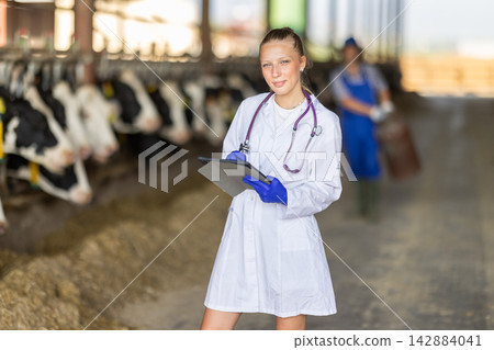 Young female vet checking cows with tablet at dairy farm Young female vet checking cows with tablet at dairy farm 142884041