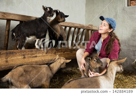 Female farmer takes care of herd of goats in paddock at an animal farm Female farmer takes care of herd of goats in paddock at an animal farm 142884189