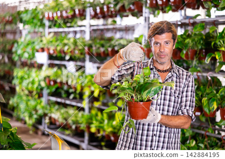 Man posing with pothos tutor plant at flower shop Man posing with pothos tutor plant at flower shop 142884195