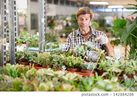 Adult male salesman holding pots of succulents Adult male salesman holding pots of succulents 142884286