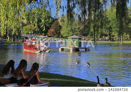 Students enjoying the landscape of the lake and Swan Boats on Boston Garden late afternoon Students enjoying the landscape of the lake and Swan Boats on Boston Garden late afternoon 142884726