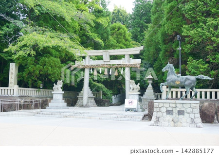 哈里納神社,西入口9,神珠遊行 哈里納神社,西入口9,神珠遊行 142885177