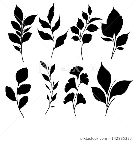 botany tattoo sketch - beautiful twig plant. Botanical element template for graphic design, wedding decor, textiles, souvenir gift, stationery print botany tattoo sketch - beautiful twig plant. Botanical element template for graphic design, wedding decor, textiles, souvenir gift, stationery print 142885353