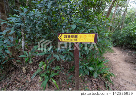 台灣第35座小山峰火岩山登山路線沿途風景。 142886939