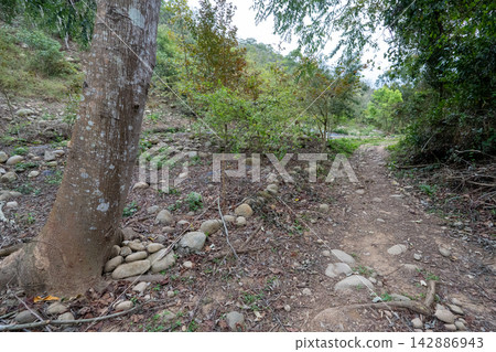 台灣第35座小山峰火岩山登山路線沿途風景。 台灣第35座小山峰火岩山登山路線沿途風景。 142886943