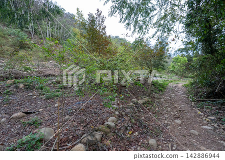 台灣第35座小山峰火岩山登山路線沿途風景。 台灣第35座小山峰火岩山登山路線沿途風景。 142886944