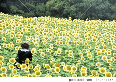 大阪市永井植物園 大阪市永井植物園 142887437