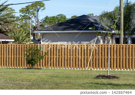 Wooden plank fence in Florida backyard. Timber fencing for grounds protection and privacy 142887464