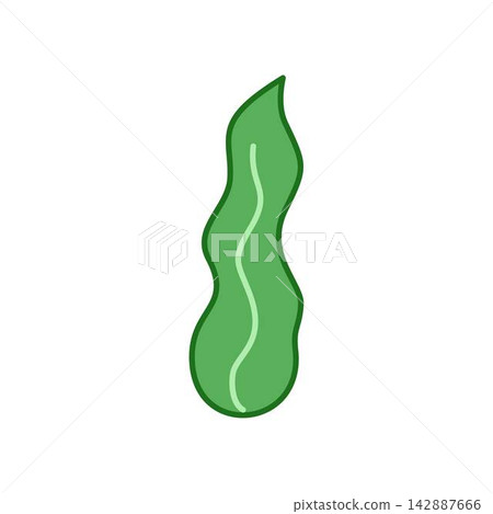 single seaweed illustration single seaweed illustration 142887666