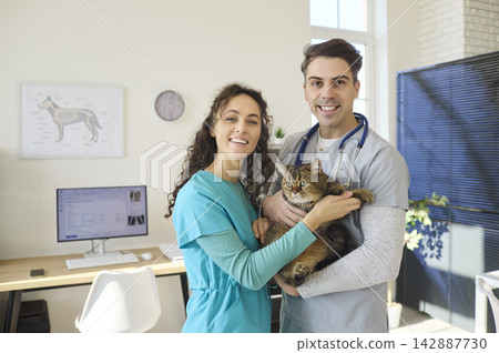 Veterinarian and nurse holding cat during checkup in modern veterinary clinic 142887730