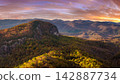 Autumn woods in Pisgah National Forest around Looking Glass Rock in North Carolina Appalachian mountains at colorful sundown. Bright yellow foliage on mountain slopes. 142887734