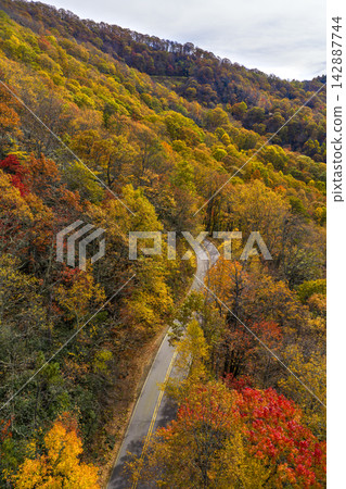 Peaceful forest road through the Appalachian region of Tennessee glowing with golden, orange and crimson autumn leaves. Peaceful forest road through the Appalachian region of Tennessee glowing with golden, orange and crimson autumn leaves. 142887744