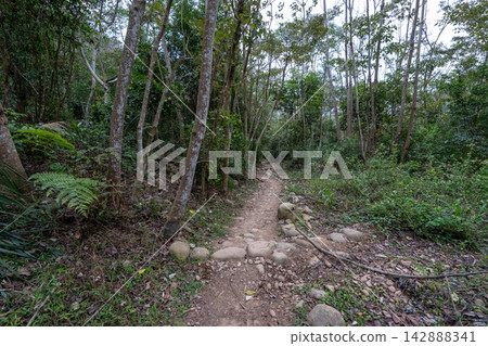 台灣第35座小山峰火岩山登山路線沿途風景。 台灣第35座小山峰火岩山登山路線沿途風景。 142888341