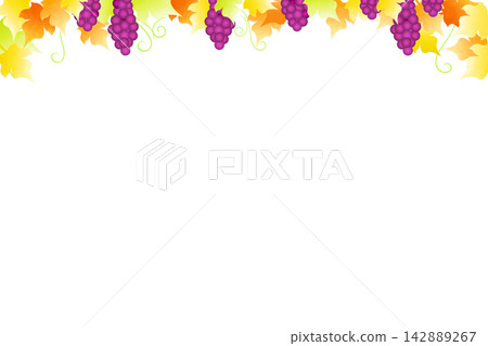 Background illustration of grapes and grape leaves, seasonal image 142889267