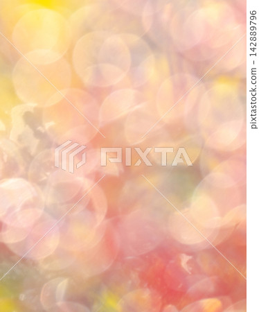 Autumn colors in a park - Image material Autumn colors in a park - Image material 142889796
