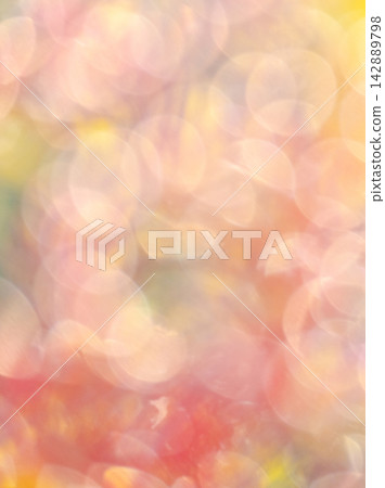 Autumn colors in a park - Image material Autumn colors in a park - Image material 142889798