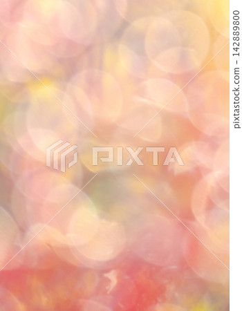 Autumn colors in a park - Image material Autumn colors in a park - Image material 142889800