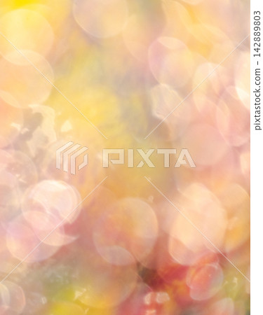 Autumn colors in a park - Image material Autumn colors in a park - Image material 142889803