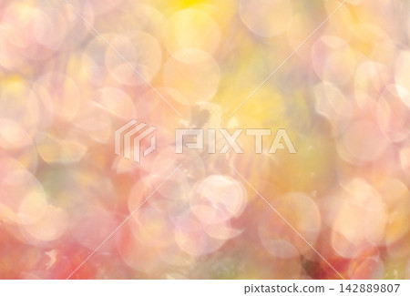 Autumn colors in a park - Image material Autumn colors in a park - Image material 142889807