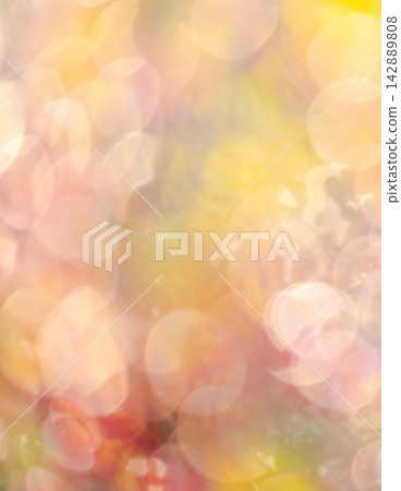 Autumn colors in a park - Image material Autumn colors in a park - Image material 142889808