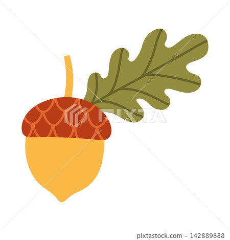 Vector illustration of a golden acorn with a green oak leaf on a stem. Flat autumn seasonal design element isolated on white background for fall graphics Vector illustration of a golden acorn with a green oak leaf on a stem. Flat autumn seasonal design element isolated on white background for fall graphics 142889888