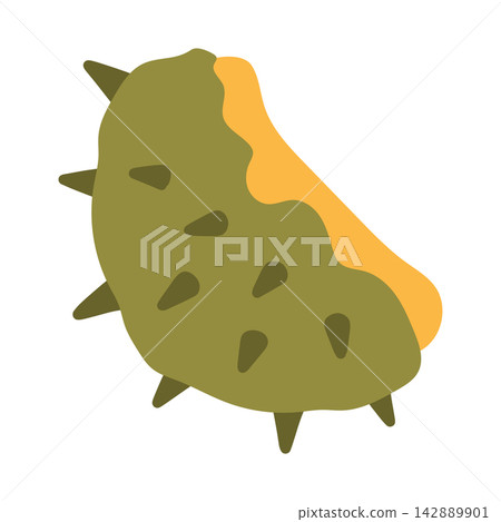 Vector illustration of half a green spiky chestnut shell hull. Great for autumn nature sets, botanical graphics, and fall harvest design elements Vector illustration of half a green spiky chestnut shell hull. Great for autumn nature sets, botanical graphics, and fall harvest design elements 142889901