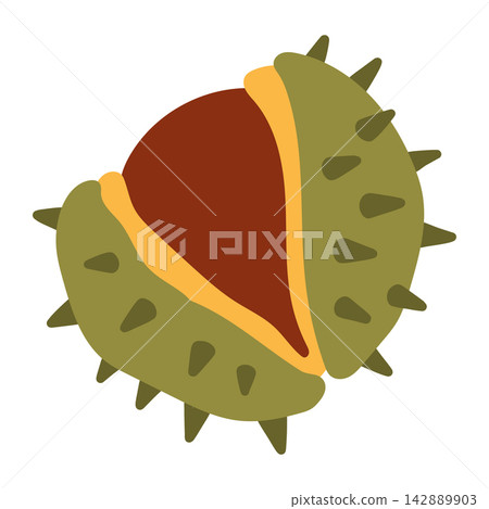 Vector illustration of an open green spiky chestnut burr revealing the brown nut inside. Ideal for autumn foliage, fall harvest, and nature designs Vector illustration of an open green spiky chestnut burr revealing the brown nut inside. Ideal for autumn foliage, fall harvest, and nature designs 142889903