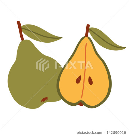 Whole green pear and sliced half pear vector isolated on white. Ideal for autumn fruit harvest graphics, healthy food recipes, organic farm market logos, and seasonal autumn food designs 142890016