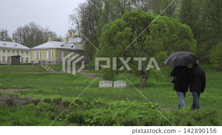 Romantic Partners Taking Leisurely Walk Amidst Lush Greenery While Rain Softly Falls Around Them. Creative Romantic Partners Taking Leisurely Walk Amidst Lush Greenery While Rain Softly Falls Around Them. Creative 142890156