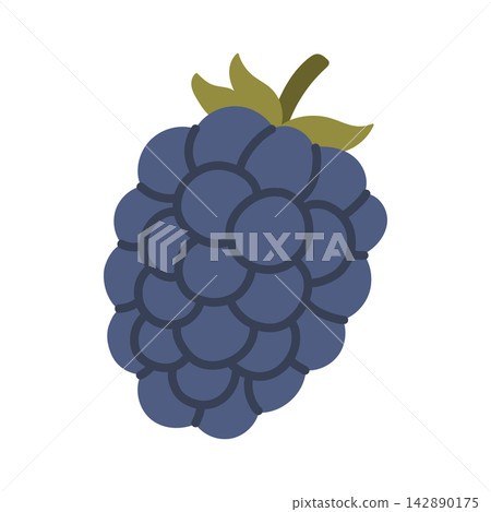 Ripe juicy blackberry fruit with green leaves vector isolated on white. Ideal for wild berry harvesting concepts, autumn dessert packaging, organic farm logos, and healthy food graphics 142890175