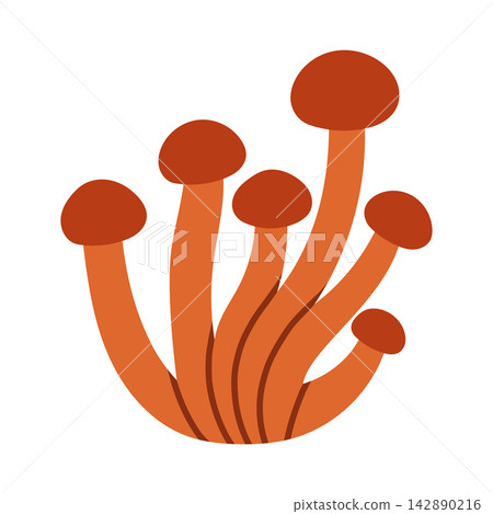 Cluster of brown honey mushrooms vector illustration isolated on white. Great for autumn forest designs, food recipe cards, harvest graphics, and woodland decor 142890216