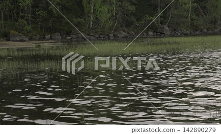 Tranquil Reed Bay. Calm Waters Reflecting Muted Green Banks With Delicate Ripples And Natural Textures. Creative Tranquil Reed Bay. Calm Waters Reflecting Muted Green Banks With Delicate Ripples And Natural Textures. Creative 142890279