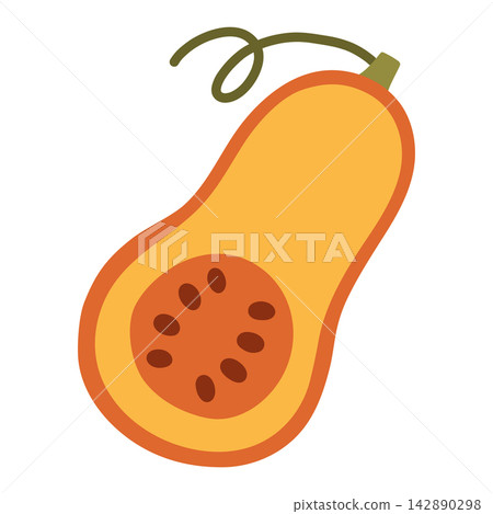 Half cut butternut squash vector illustration with seeds isolated on white. Essential element for autumn recipe cards, healthy food designs, Thanksgiving graphics, and farm logos 142890298