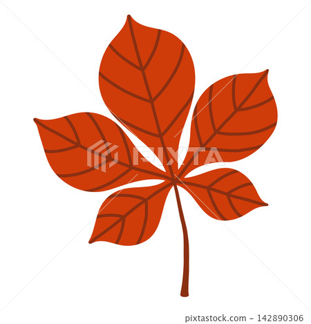 Vibrant red chestnut leaf vector isolated on white. Perfect for autumn sale banners, Thanksgiving designs, fall foliage graphics, and nature backgrounds Vibrant red chestnut leaf vector isolated on white. Perfect for autumn sale banners, Thanksgiving designs, fall foliage graphics, and nature backgrounds 142890306
