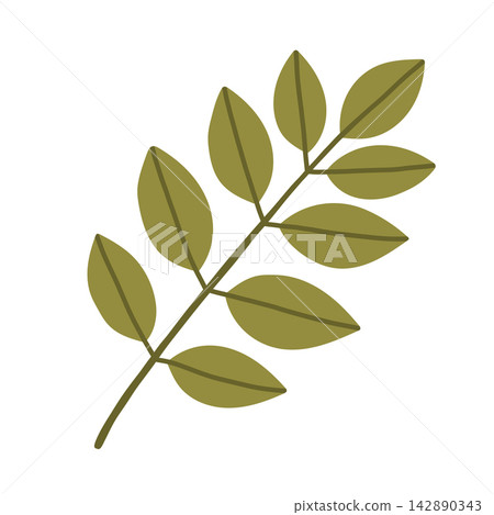 Flat green leaf branch vector isolated on white background. Botanical foliage sprig for eco branding, nature graphic design, autumn decor, and spring projects Flat green leaf branch vector isolated on white background. Botanical foliage sprig for eco branding, nature graphic design, autumn decor, and spring projects 142890343