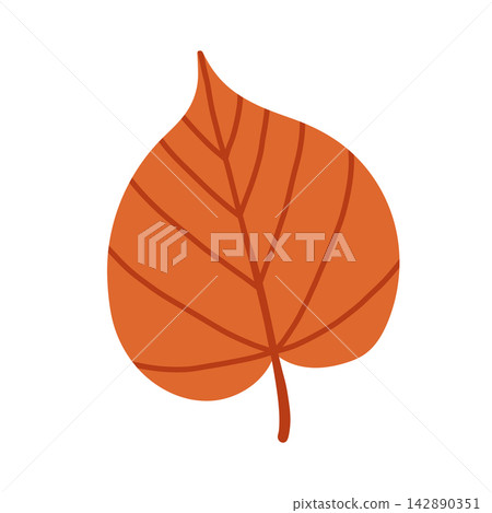 Warm brown autumn linden leaf vector isolated on white background. Flat simple fall leaf clipart for seasonal banners, Thanksgiving graphics, and natural decor Warm brown autumn linden leaf vector isolated on white background. Flat simple fall leaf clipart for seasonal banners, Thanksgiving graphics, and natural decor 142890351