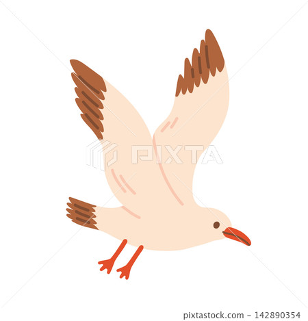 Cute seagull bird vector illustration flying with open wings. Marine bird isolated on white background for summer beach prints, nursery art, and stickers Cute seagull bird vector illustration flying with open wings. Marine bird isolated on white background for summer beach prints, nursery art, and stickers 142890354