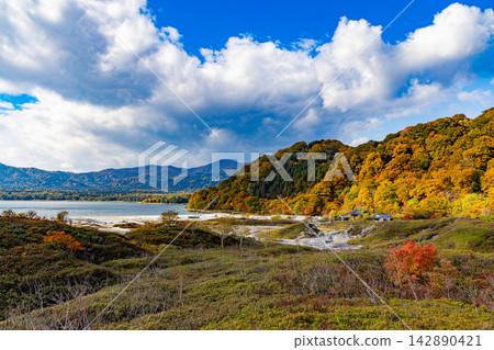 青森縣大須岳的秋景 142890421