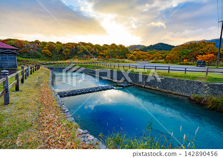青森縣大須岳的秋景 青森縣大須岳的秋景 142890456
