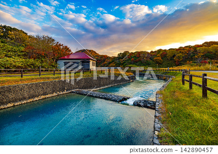 青森縣大須岳的秋景 青森縣大須岳的秋景 142890457