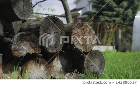 Weathered firewood logs stacked in suburban backyard with textured cut ends, visible growth rings, cracked bark, moss, and soft daylight across rustic garden setting 142890517