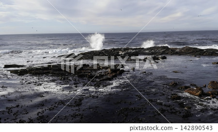 Dark rocky shoreline with ocean waves breaking under a cloudy sky . Media 142890543