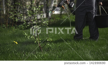 Gardener spraying a young tree on a green lawn Gardener spraying a young tree on a green lawn 142890690